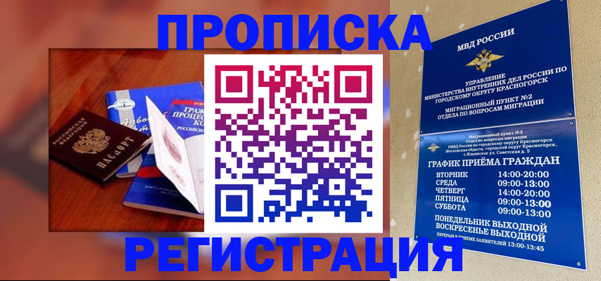 временная регистрация для школы в Долгопрудном